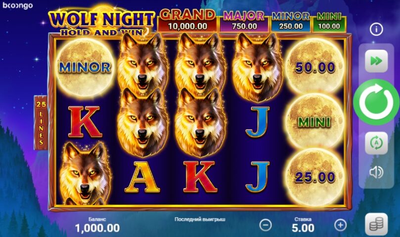 Внешний вид Wolf Night