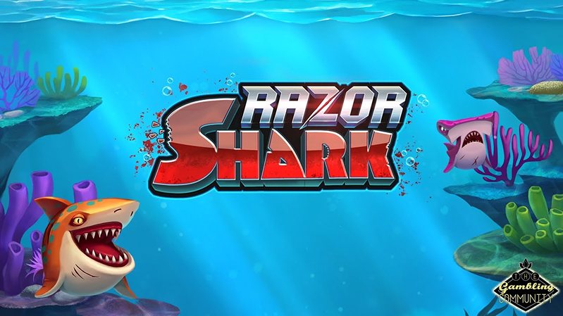 Обзор слота Razor Shark