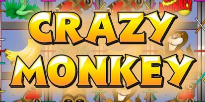 Обзор слота Crazy Monkey